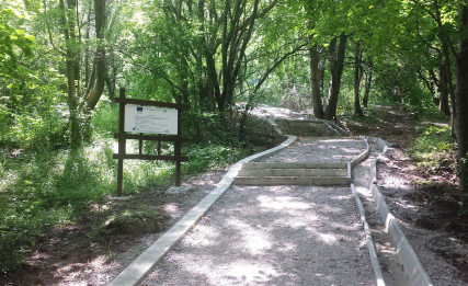 INFRA HOLDING Finishes Repair of 16 km of Tourist Paths in Vitosha Natural Park